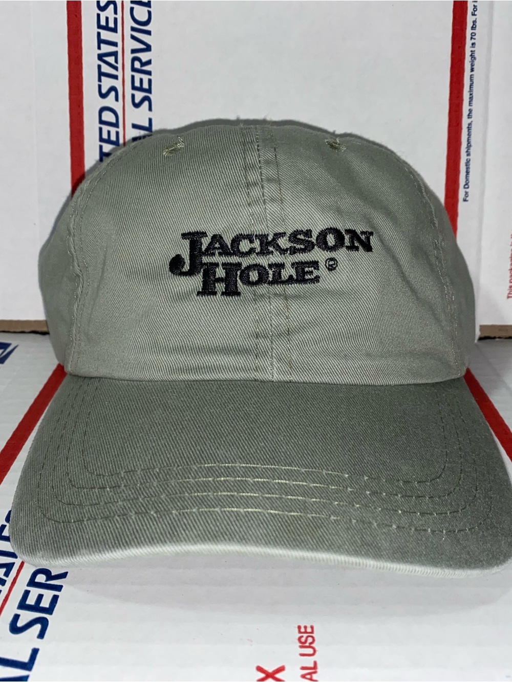 Jackson Hole 🕳️ 🏔️ ⛷️ Sage Baseball Cap 🧢 dad hat vintage skiing ski resort vtg